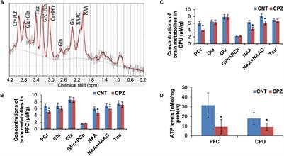 Differential Susceptibility and Vulnerability of Brain Cells in C57BL/6 Mouse to Mitochondrial Dysfunction Induced by Short-Term Cuprizone Exposure